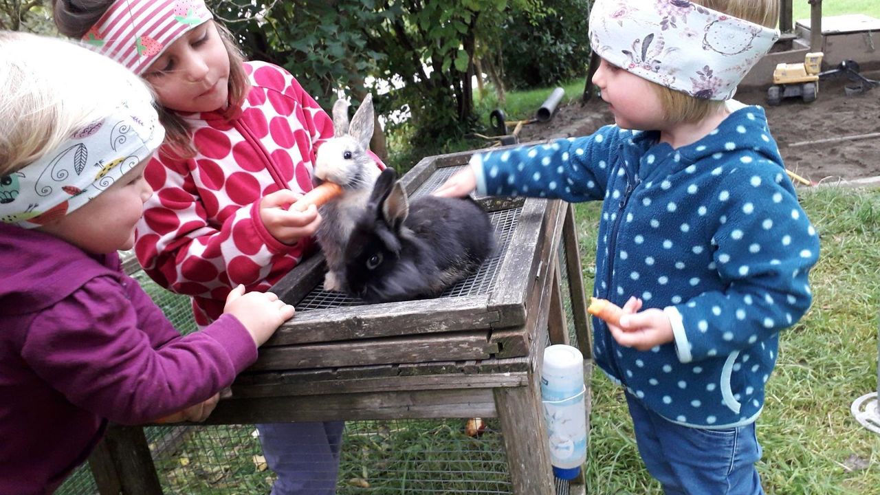 Streicheleinheiten für unsre Hasen Streicheleinheiten für unsre Hasen